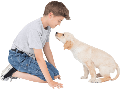 boy interacting with playful puppy on transparent background - Download Free Stock Videos Pikwizard.com