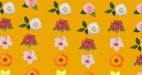 Colorful Floral Motion Pattern with Orange Background