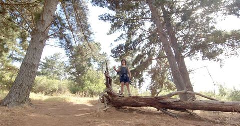 Person adventuring on fallen tree in forest pathway