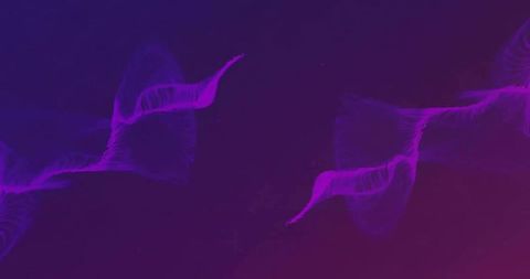 Neon purple abstract energy waves flowing across dark gradient for technology and science