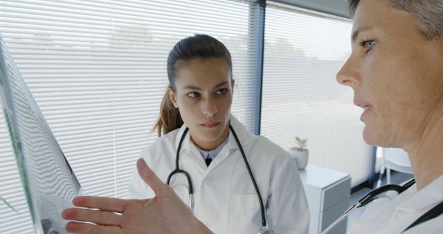 Two doctors are seen discussing a medical case in a modern office. Both are dressed in white lab coats with stethoscopes around their necks, indicating their medical profession. The office environment features large windows with blinds, lending a contemporary look. This image can be used for themes around healthcare, medical team collaboration, professional consultation, and clinical examination, suitable for medical articles, websites, and educational materials.