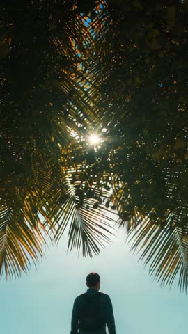 Backpacked hiker walking through palm canopy toward intensifying sunbeam | Vertical video