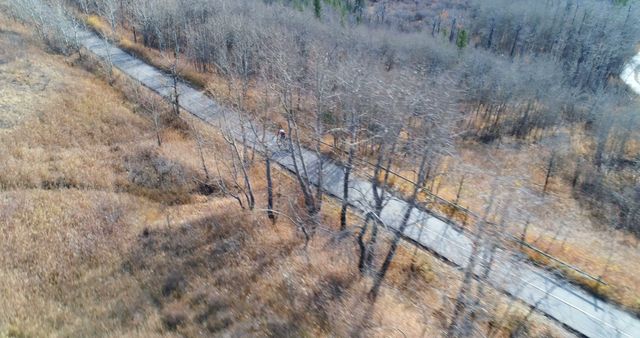 Aerial view of a winding path through a barren forest, with copy space. The image captures the tranquil beauty of a natural outdoor setting in autumn.