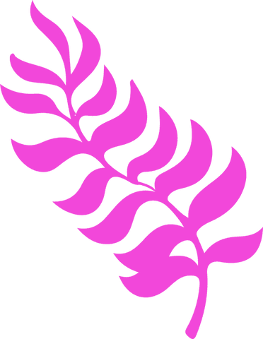 Stylized Pink Frond on Transparent Background in Minimalist Style