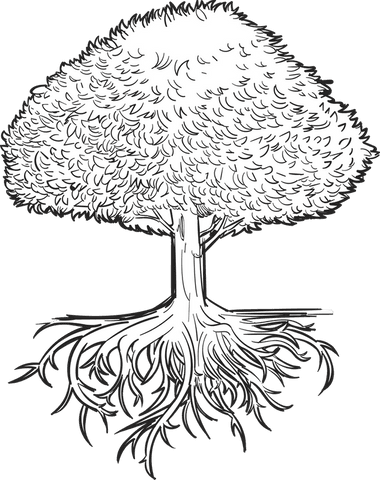 Botanical stylized tree with intricate roots on transparent background
