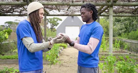 Community volunteers exchanging seedling in urban garden under wooden pergola near shed