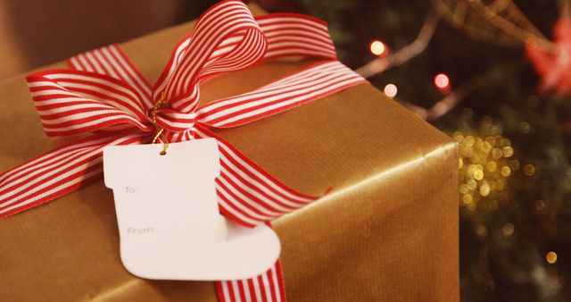 Close-up of wrapped gift during christmas time 4k - Download Free Stock Photos Pikwizard.com