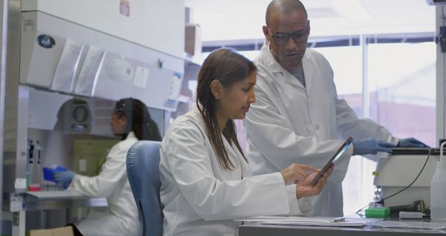 Researchers Analyzing Data in a Modern Laboratory - Download Free Stock Images Pikwizard.com