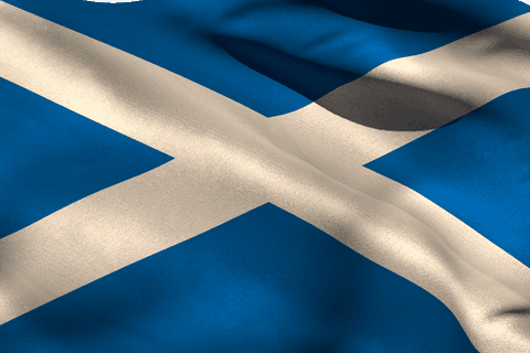 transparent blue and white flag design vector illustration - Download Free Stock Videos Pikwizard.com