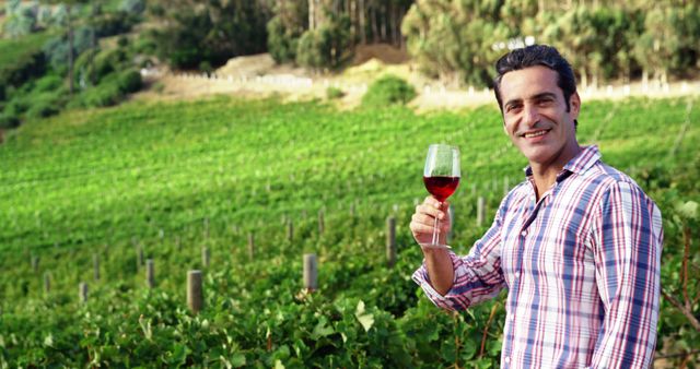 Man Enjoying Wine in Vineyard at Sunset - Download Free Stock Images Pikwizard.com