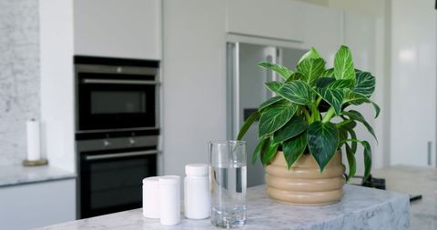 Sleek kitchen counter with potted plant and wellness products