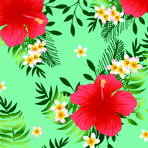 Hibiscus and Plumeria Floral Pattern on Transparent Background