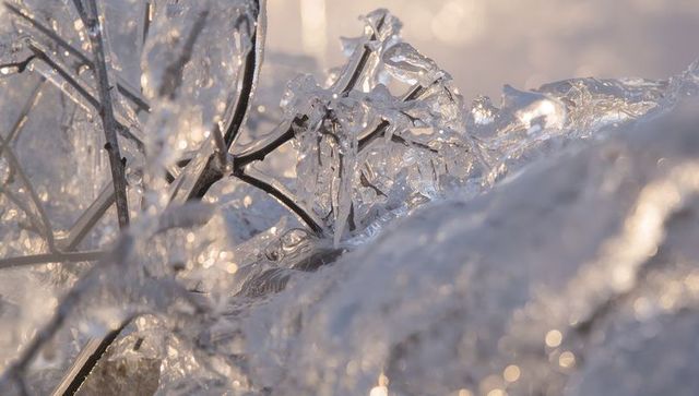 Backlit ice-coated twigs catching low sun with crystal droplets and soft bokeh
