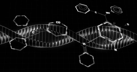 Digital Interface of DNA Strand with Chemical Structures