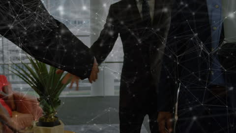 Business Partnerships and Global Network Visualization