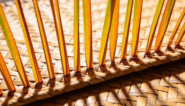 Reed strips casting long shadows on sunlit woven straw mat texture and pattern