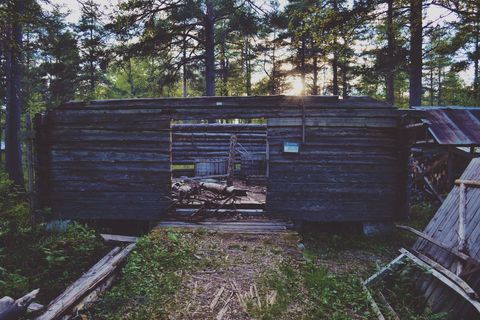 Sunlight streaming through rustic log cabin ruins in pine forest at dusk