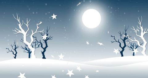 Mystical Winter Landscape with Moonlight and Stars