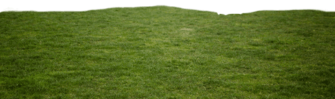 Green meadow on transparent background - nature landscape concept