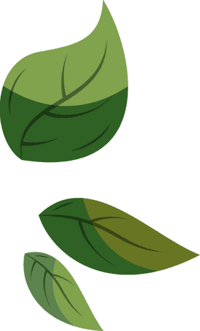 Stylized transparent leaves floating with curved veining