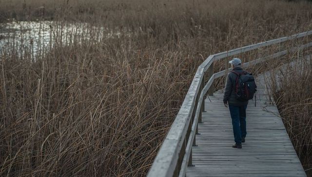 Solo hiker with backpack walking on boardwalk through coastal marsh reeds at dusk