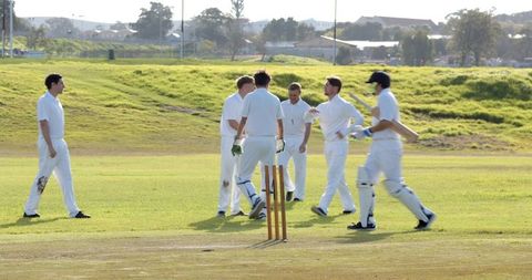 Cricket Team Celebrating Wicket on Suburban Grass Pitch