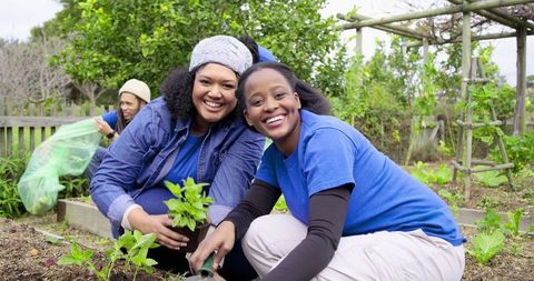 Community volunteers planting seedlings in urban garden, smiling and collaborating outdoors