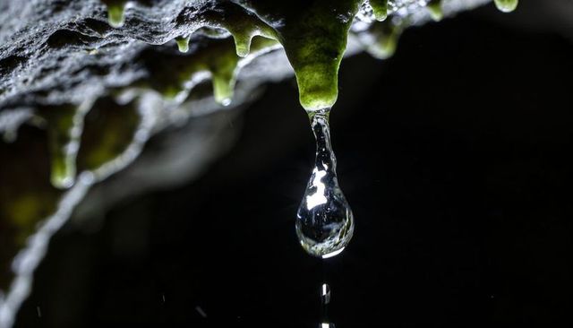 Macro droplet elongating from green moss on rock overhang with bright reflections