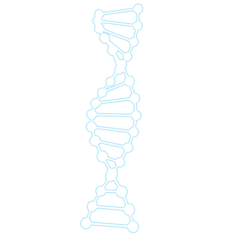 transparent blue dna double helix diagram isolated on white - Download Free Stock Videos Pikwizard.com