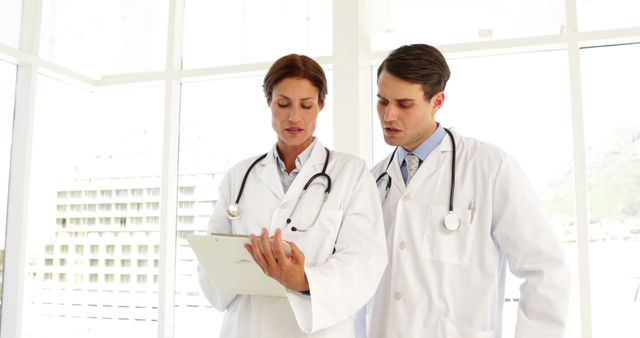 Two Doctors Discussing Medical Reports in Hospital - Download Free Stock Images Pikwizard.com