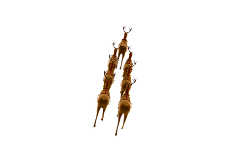 transparent molecular structure of reindeer antlers - Download Free Stock Videos Pikwizard.com