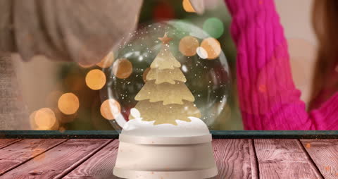 Whimsical Christmas Snow Globe Animation with Falling Stars