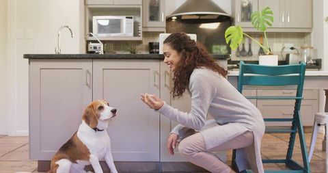 Woman Training Beagle Dog in Modern Cozy Kitchen Setting