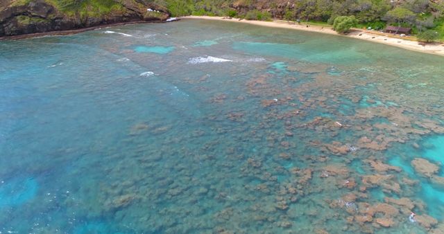 Drone vier of clear blue ocean water and green shore with copy space - Download Free Stock Photos Pikwizard.com