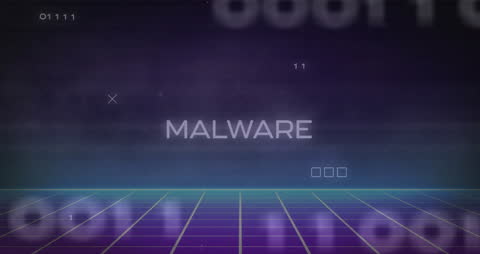 Malware Animation with Digital Grid and Data Flow