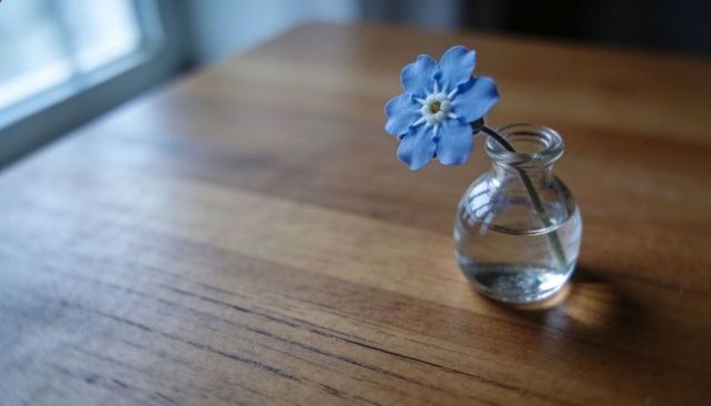 Single blue flower sitting in clear bud vase on wooden table with soft window light