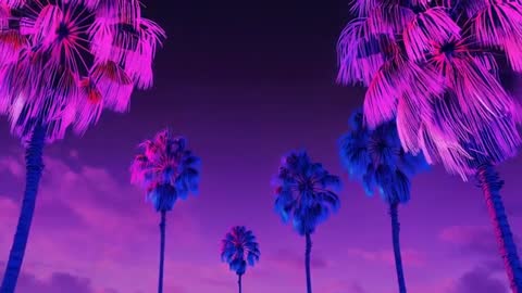 Night View of Palm Trees with Neon Glow