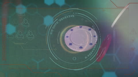 Complex Digital Interface with Conceptual Data Visualization