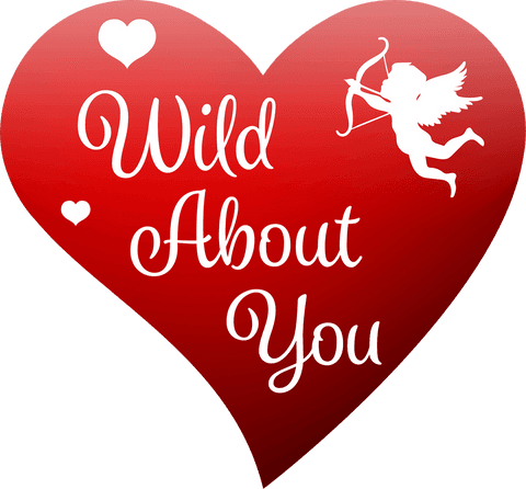 Illustrative Heart and Wild About You Text on Transparent Background