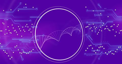 Spinning DNA Structure with Microprocessor Connections on Purple Background - Download Free Stock Images Pikwizard.com