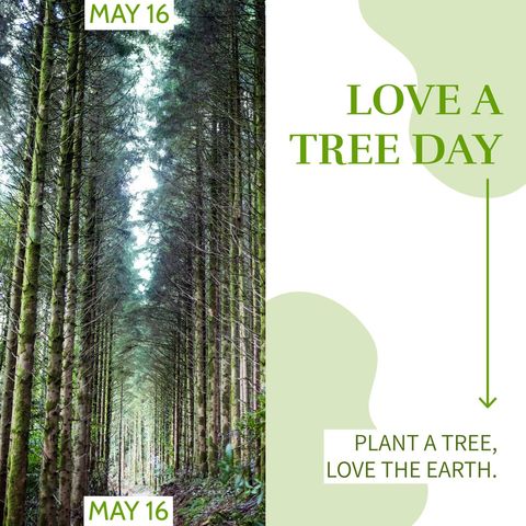 Love a Tree Day Celebration with Serene Forest View - Download Free Stock Templates Pikwizard.com