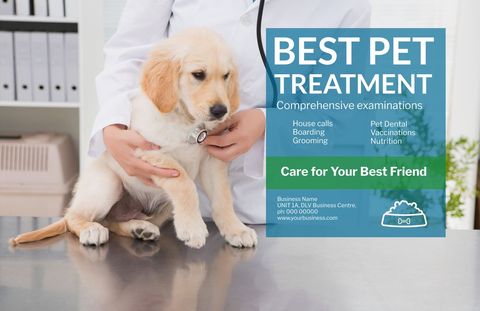 veterinarian with puppy promoting compassionate pet care services - Download Free Stock Templates Pikwizard.com