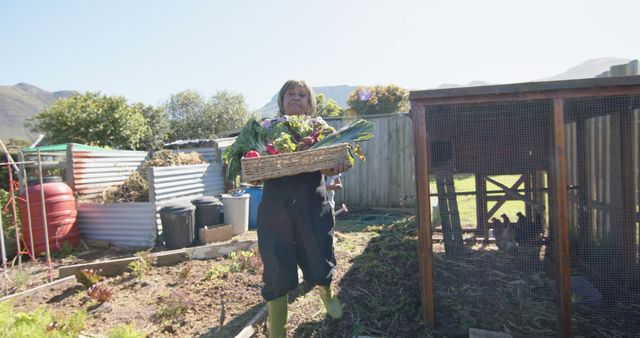 Woman Harvesting Fresh Vegetables in Backyard Garden - Download Free Stock Images Pikwizard.com