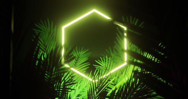 Captivating neon yellow hexagon illuminating tropical green leaves on a black background presents a striking combination of geometry and nature. Perfect for use in modern design projects, art blogs, futuristic themes, or electronic music albums, the scene gives off an otherworldly, serene atmosphere reminiscent of digitally generated visionary spaces.