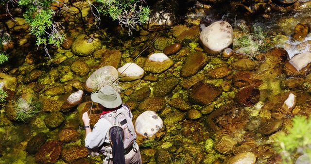 Man Fly Fishing in Rocky Stream on Sunny Day - Download Free Stock Images Pikwizard.com