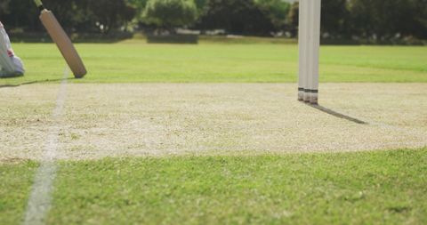 Cricket Pitch with Player in Action on Sunny Day - Download Free Stock Images Pikwizard.com