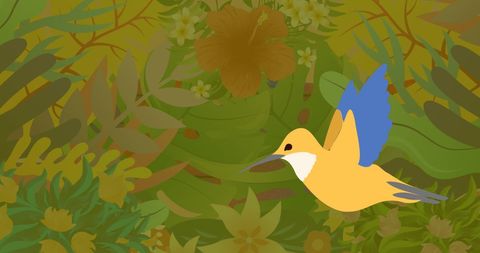 Vibrant Bird Flying Amongst Tropical Foliage - Download Free Stock Images Pikwizard.com