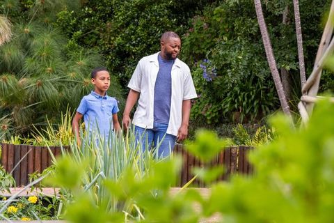 African american father and son walking lush backyard garden path enjoying calm outdoor bonding