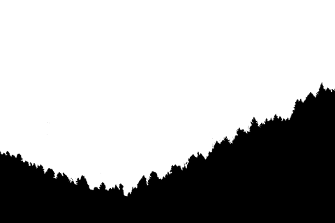 this illustration features trees thriving on a slope, all rendered against a transparent background. it is ideal for use in digital design projects focusing on nature, environmental themes, and outdoor landscapes. this transparent vector can be utilized to enhance website headers, add greenery to marketing materials, or create themed stationery.