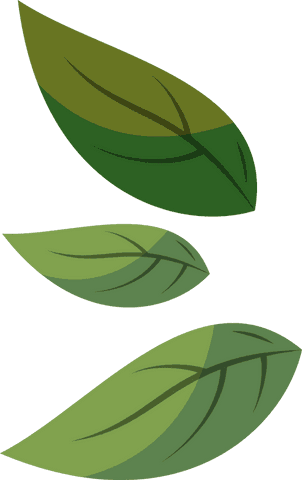 Nature Themed Transparent Leaves Illustration with Green Gradients - Download Free Stock Videos Pikwizard.com